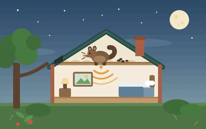 Signs You Have a Possum in Your Roof or Ceiling